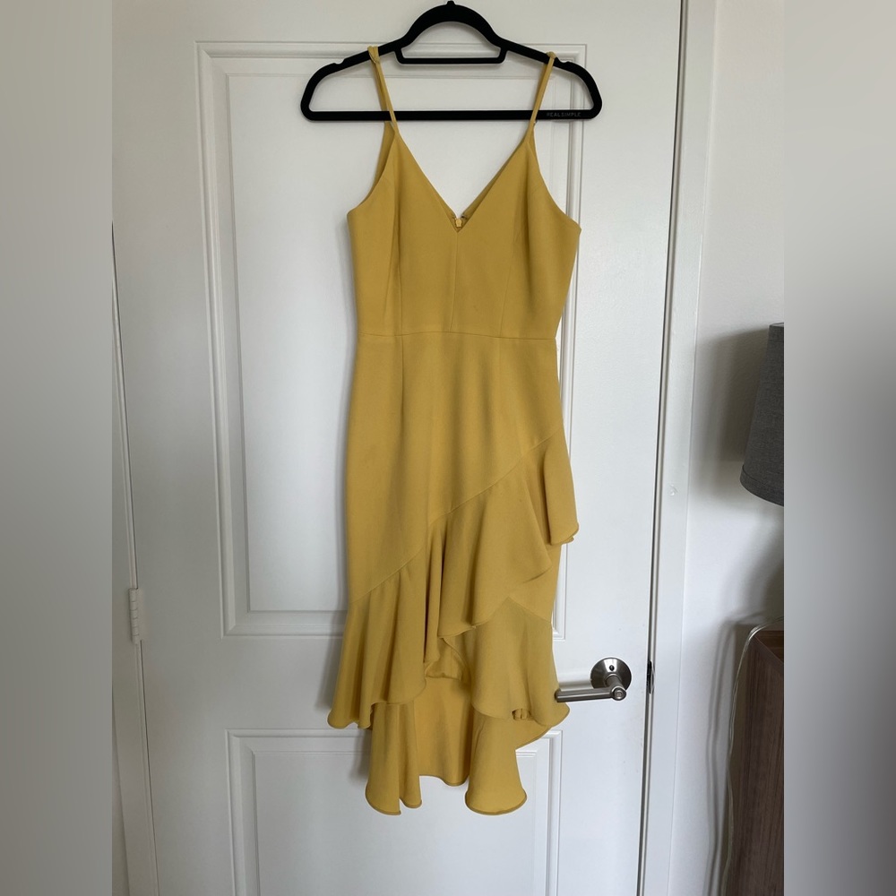 Dress the Population Connelly Dress